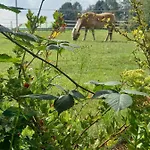 Landidylle Mit Garten, Whirlpool Und Klima Reken