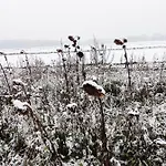 Landidylle Mit Garten, Whirlpool Und Klima * Reken