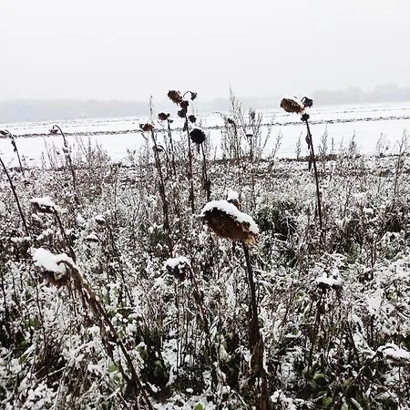 Landidylle Mit Garten, Whirlpool Und Klima * Reken