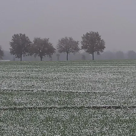 Apartament Landidylle Mit Garten, Whirlpool Und Klima *