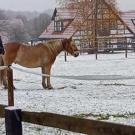 Landidylle Mit Garten, Whirlpool Und Klima Apartment