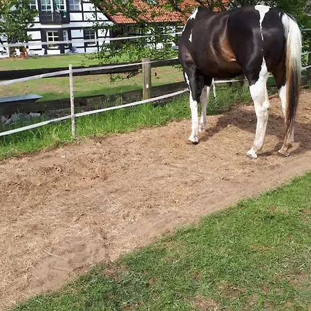 Landidylle Mit Garten, Whirlpool Und Klima Apartament