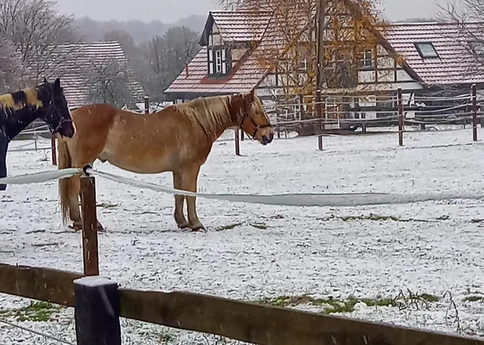 Landidylle Mit Garten, Whirlpool Und Klima Lejlighed